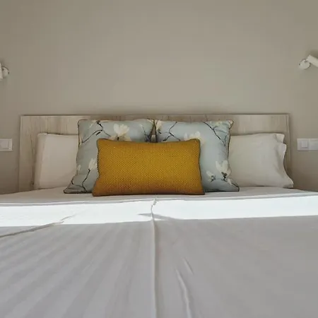 Mirador Del Transito